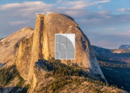 The North Face Logo